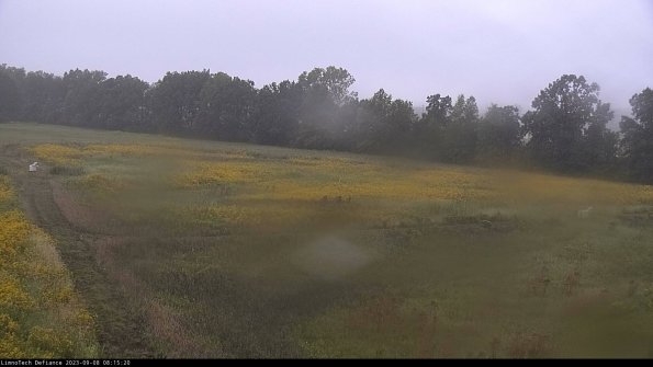 Cell 2_23-09-08_08-15-20-98