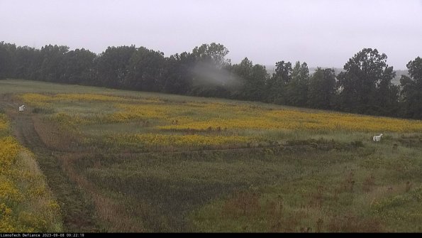 Cell 2_23-09-08_09-22-19-92