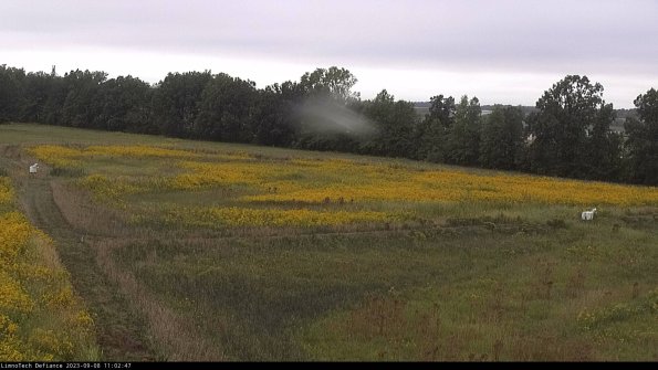 Cell 2_23-09-08_11-02-47-91