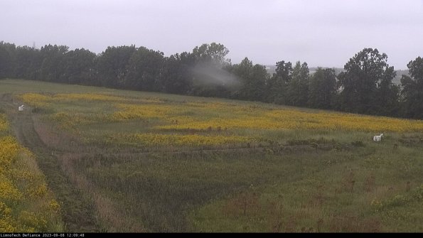 Cell 2_23-09-08_12-09-48-98