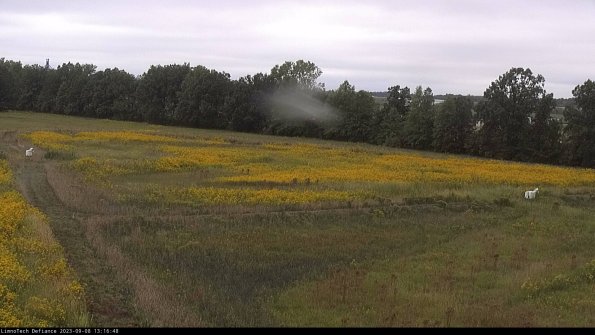 Cell 2_23-09-08_13-16-48-89