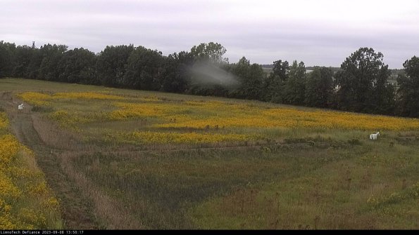 Cell 2_23-09-08_13-50-17-91