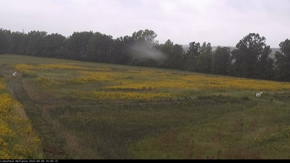 Cell 2_23-09-08_16-04-15-92