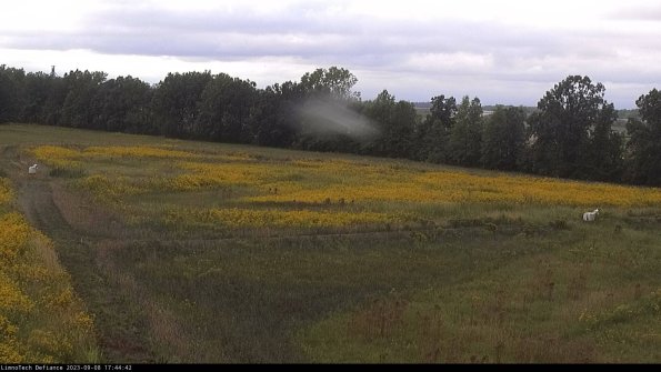 Cell 2_23-09-08_17-44-42-91