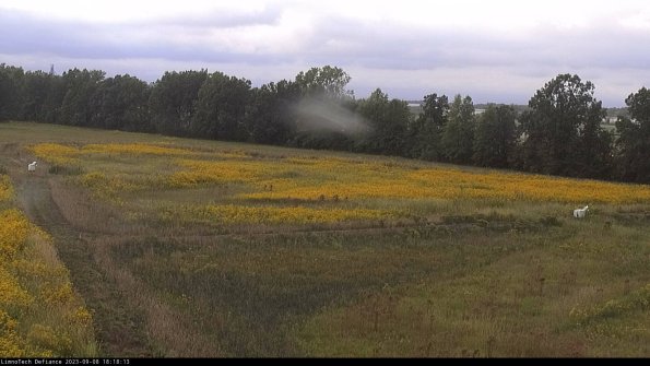 Cell 2_23-09-08_18-18-13-90