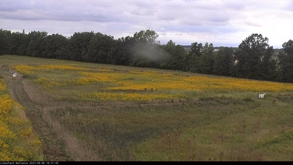 Cell 2_23-09-08_18-51-43-99