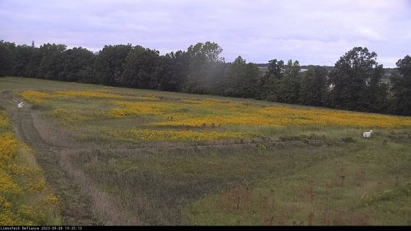 Cell 2_23-09-08_19-25-13-91