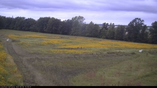 Cell 2_23-09-08_19-58-41-93