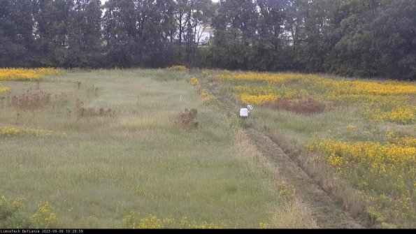 Cell 3 to 4_23-09-08_10-29-59-90