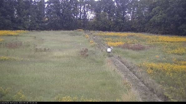 Cell 3 to 4_23-09-08_19-25-54-88