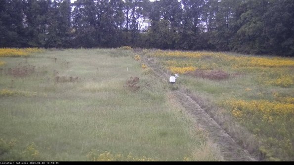 Cell 3 to 4_23-09-08_19-59-23-87