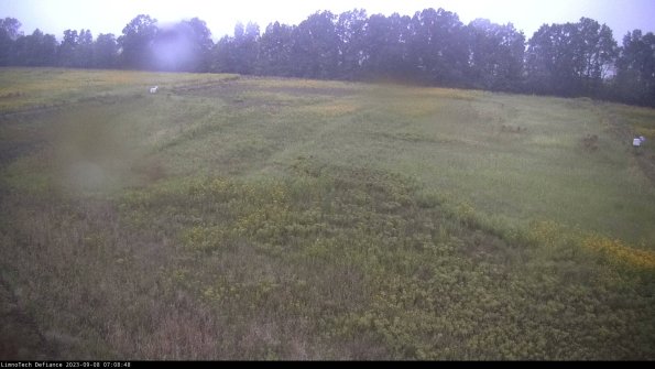 Cell 3_23-09-08_07-08-48-87