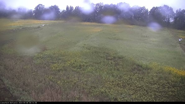 Cell 3_23-09-08_08-15-48-87