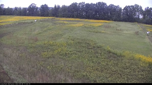 Cell 3_23-09-08_11-03-15-87