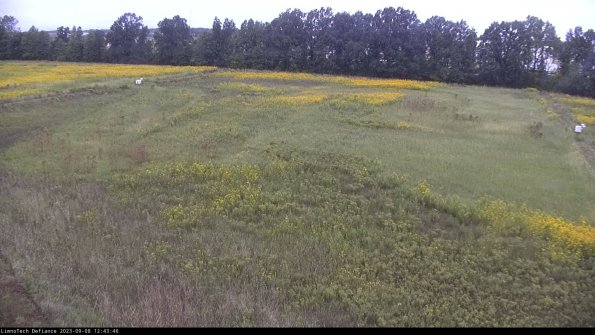 Cell 3_23-09-08_12-43-46-90