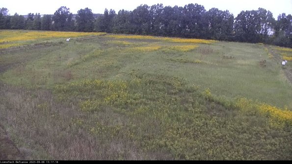 Cell 3_23-09-08_13-17-16-89