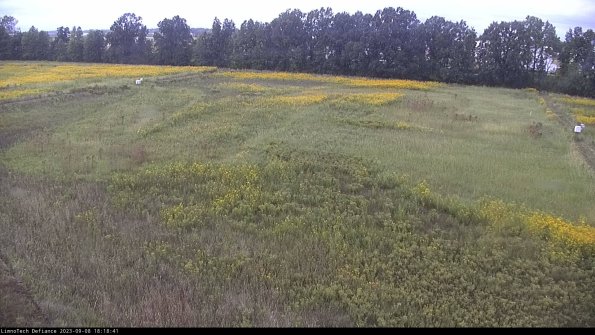 Cell 3_23-09-08_18-18-41-90