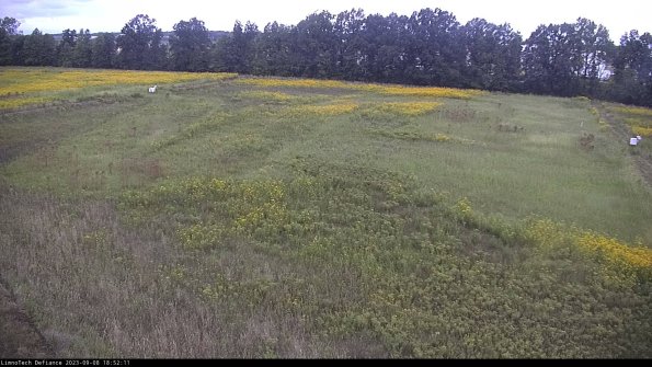 Cell 3_23-09-08_18-52-11-88