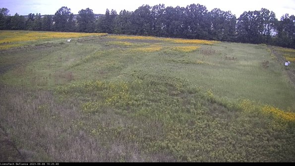 Cell 3_23-09-08_19-25-41-14