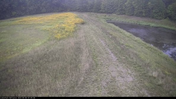 Cell 4 to Basin_23-09-08_07-09-46-92