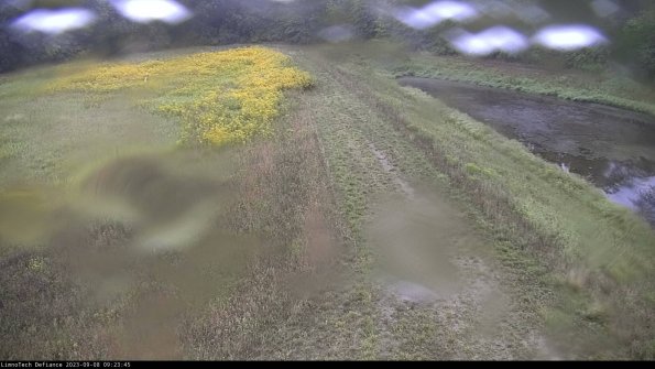 Cell 4 to Basin_23-09-08_09-23-45-87