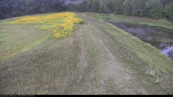 Cell 4 to Basin_23-09-08_10-30-43-87