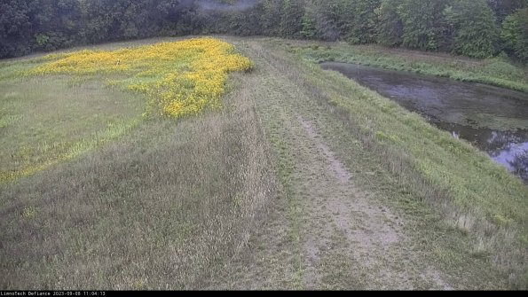 Cell 4 to Basin_23-09-08_11-04-13-89