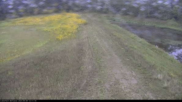 Cell 4 to Basin_23-09-08_12-11-14-87