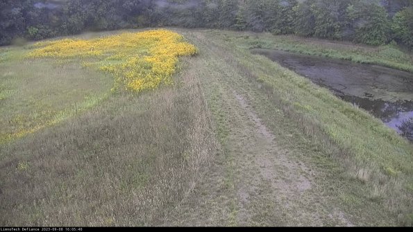 Cell 4 to Basin_23-09-08_16-05-40-87