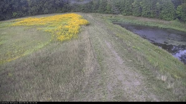 Cell 4 to Basin_23-09-08_18-19-39-89