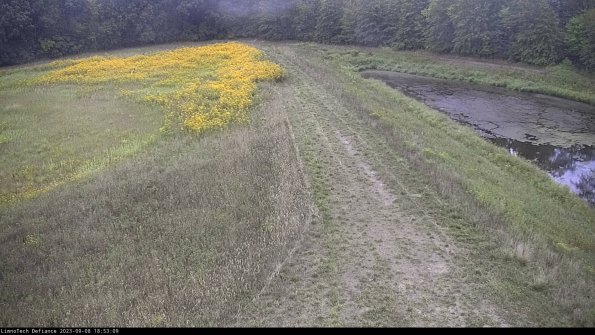 Cell 4 to Basin_23-09-08_18-53-09-91