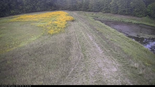 Cell 4 to Basin_23-09-08_19-26-38-90