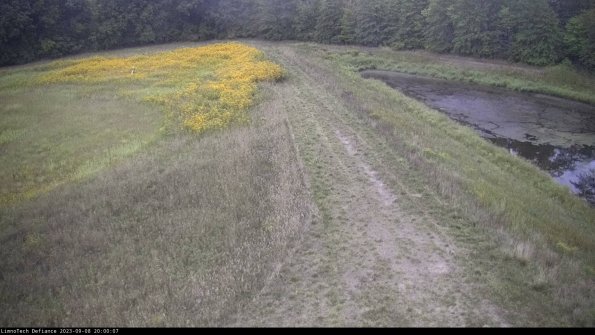 Cell 4 to Basin_23-09-08_20-00-07-91