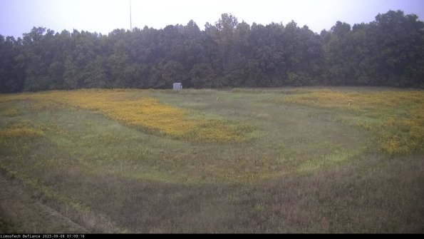 Cell 4_23-09-08_07-09-16-89