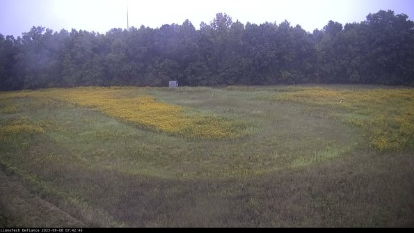 Cell 4_23-09-08_07-42-46-88