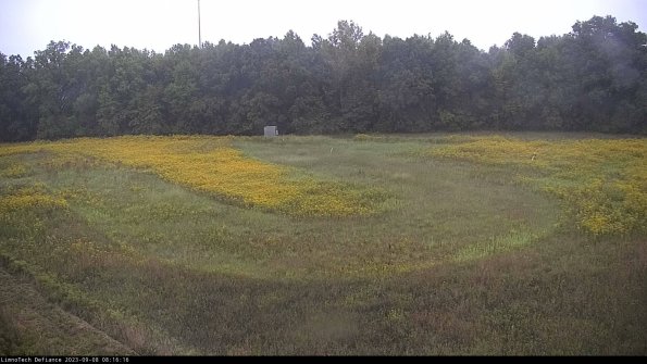 Cell 4_23-09-08_08-16-16-90