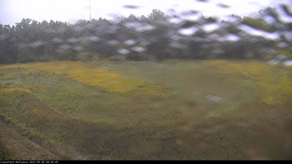 Cell 4_23-09-08_08-49-45-89