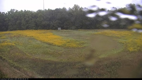 Cell 4_23-09-08_09-23-15-87