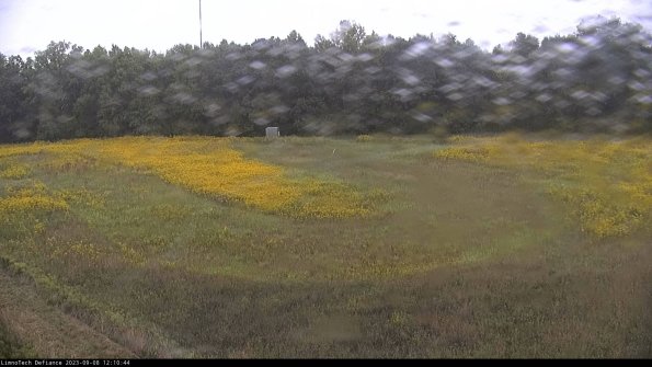 Cell 4_23-09-08_12-10-44-87