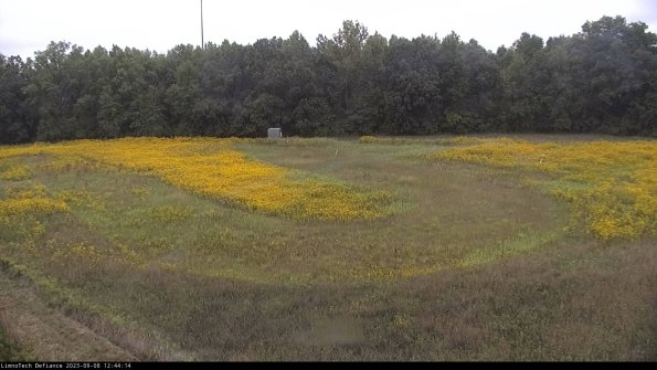 Cell 4_23-09-08_12-44-14-89