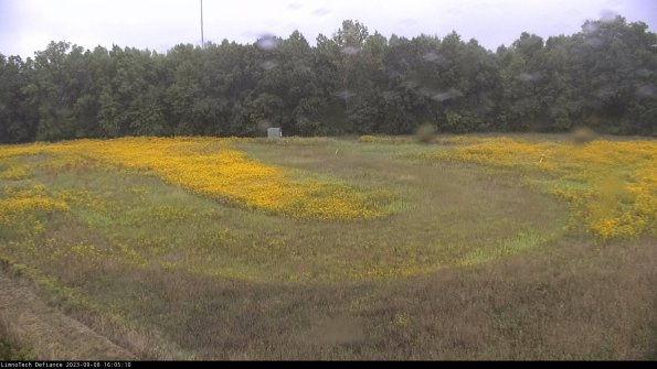 Cell 4_23-09-08_16-05-10-88