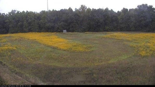 Cell 4_23-09-08_17-12-08-88