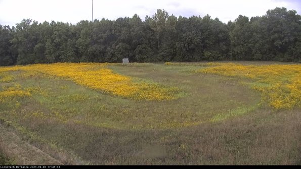 Cell 4_23-09-08_17-45-38-90