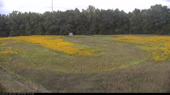 Cell 4_23-09-08_18-19-09-89