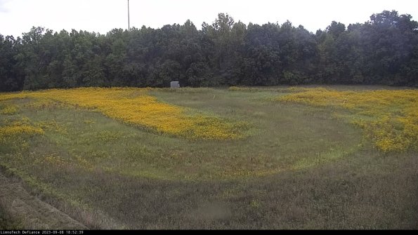 Cell 4_23-09-08_18-52-39-88