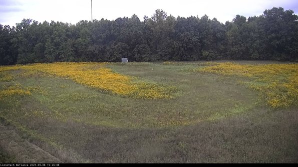 Cell 4_23-09-08_19-26-08-86