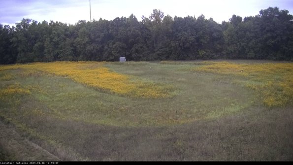 Cell 4_23-09-08_19-59-37-88