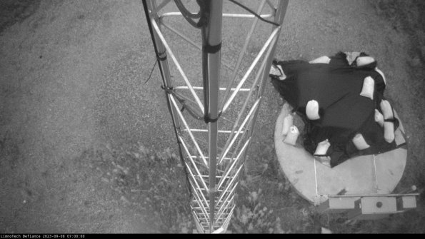 Hatch_23-09-08_07-00-00-94