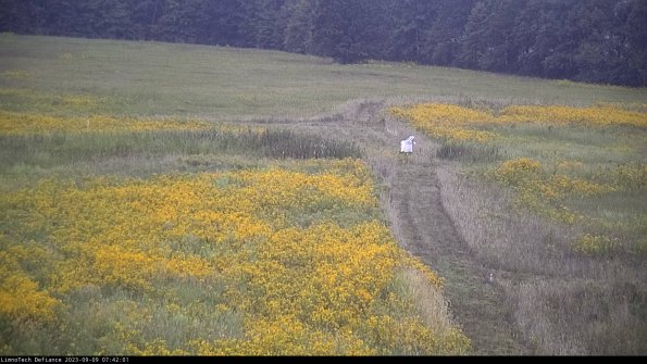 Cell 1 to 2_23-09-09_07-42-01-89