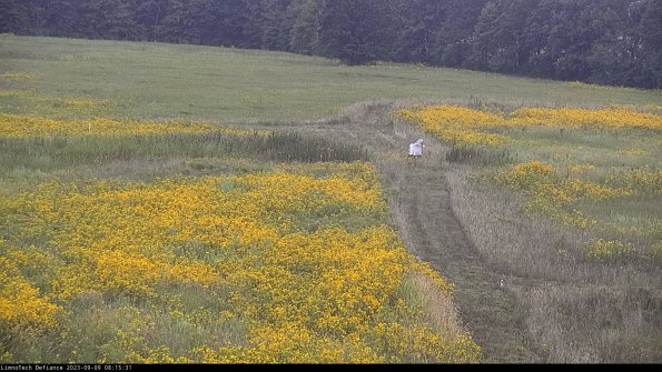 Cell 1 to 2_23-09-09_08-15-31-91